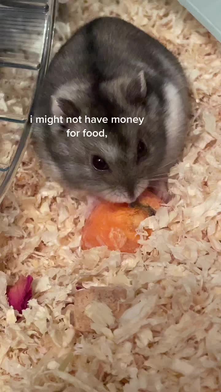 @mabel <3