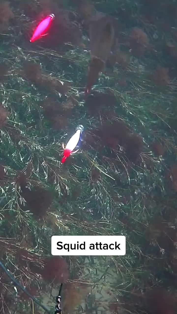 @Adrift