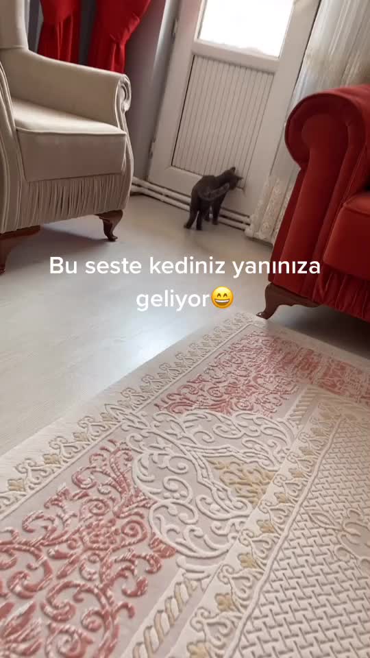 @dryakbas
