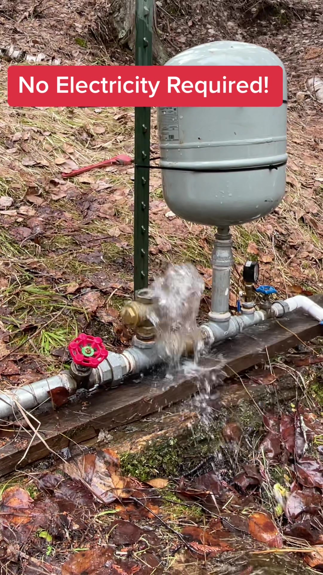 @BreakingFreeOffGrid