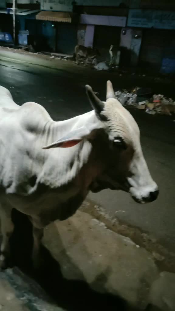 @Pullagura Sreedevi