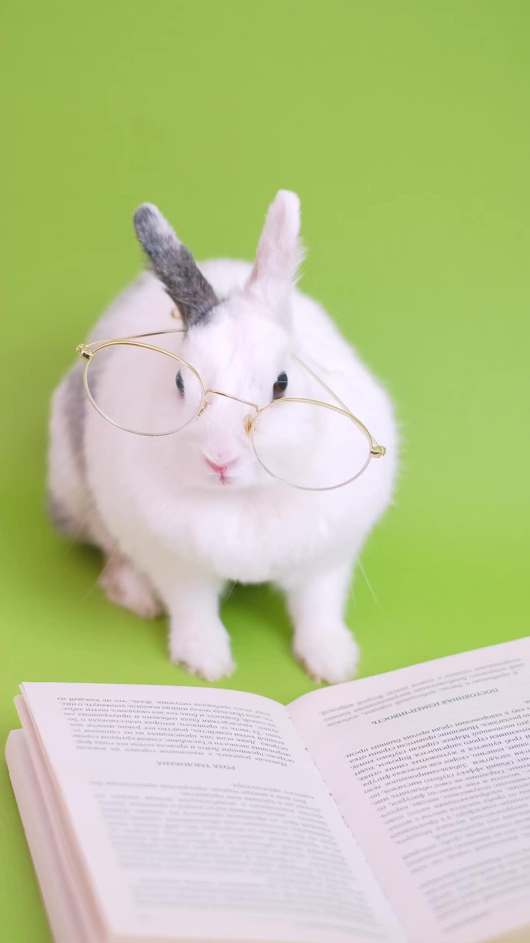 @Books by MT Official