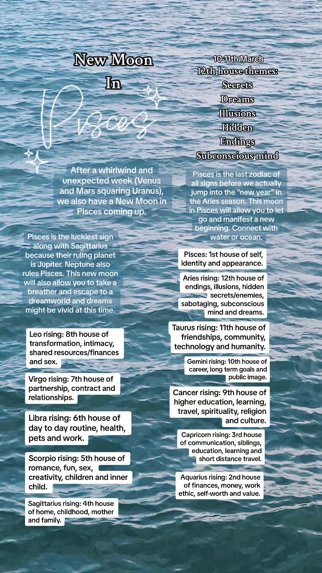 @waterbearer.astrology
