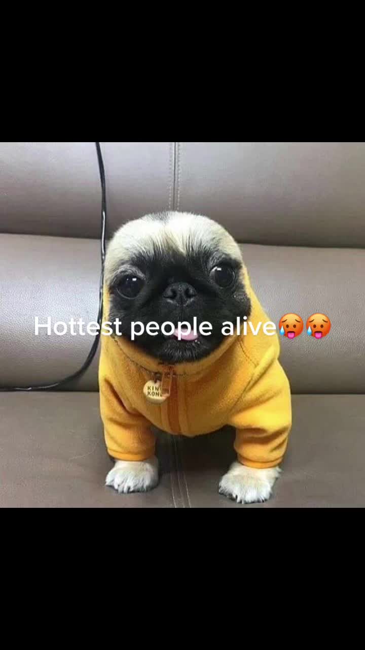 @Fart nugget