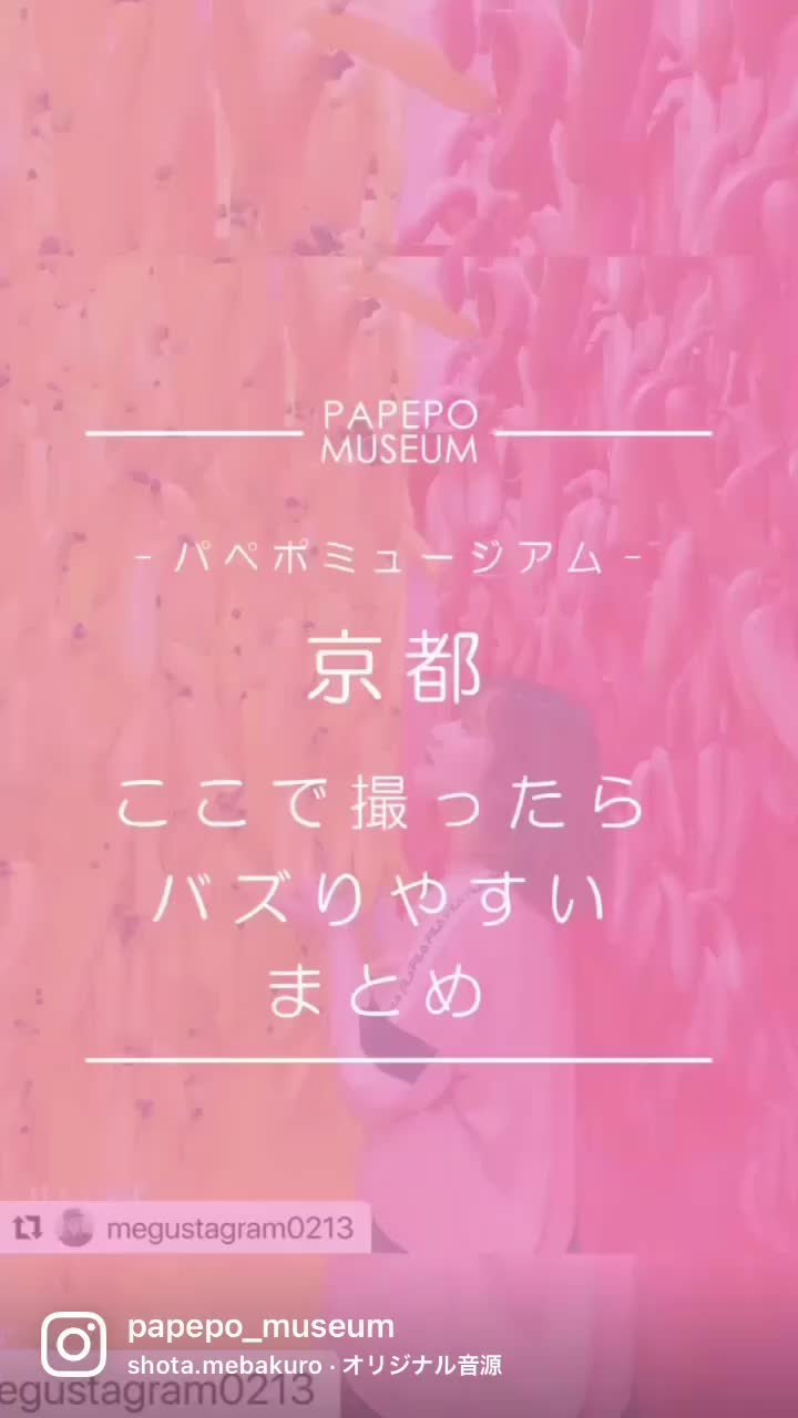 @パペポミュージアム