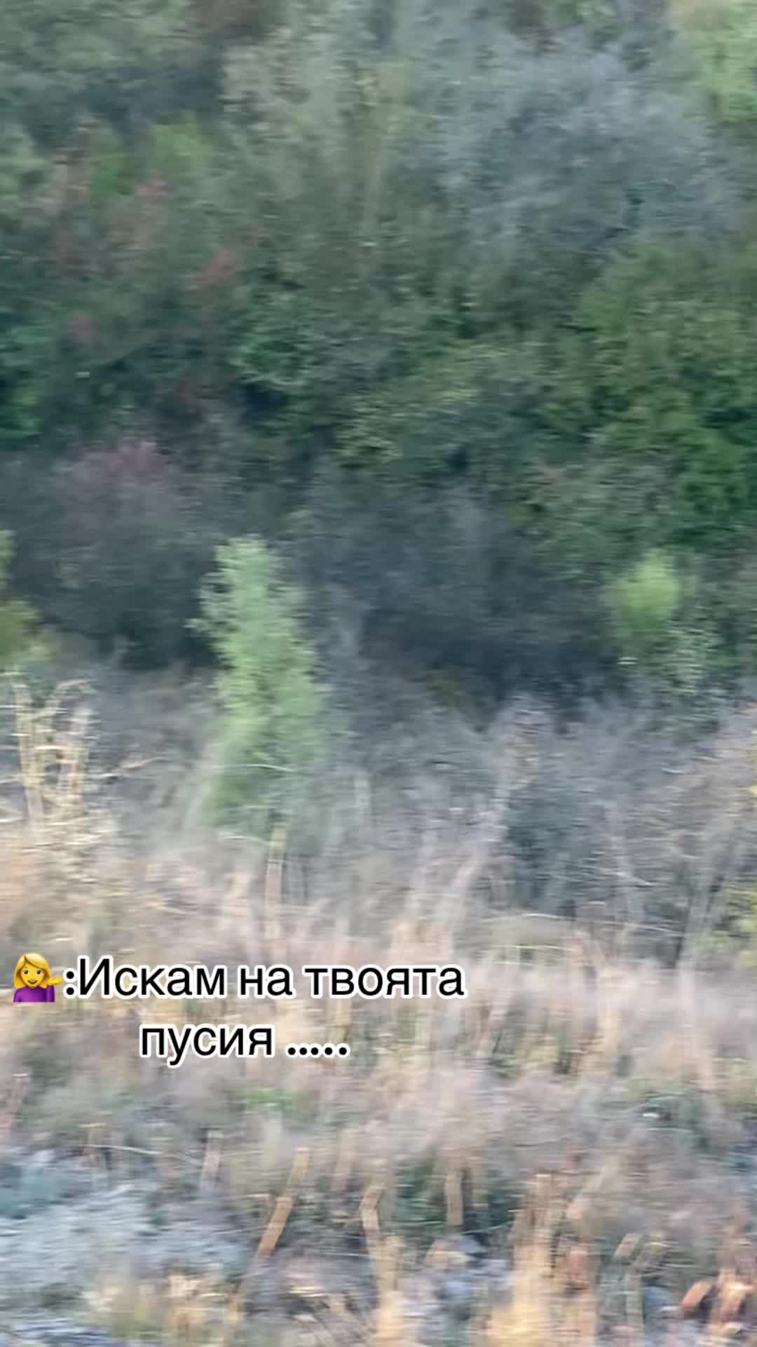 @Ivan Anastasov