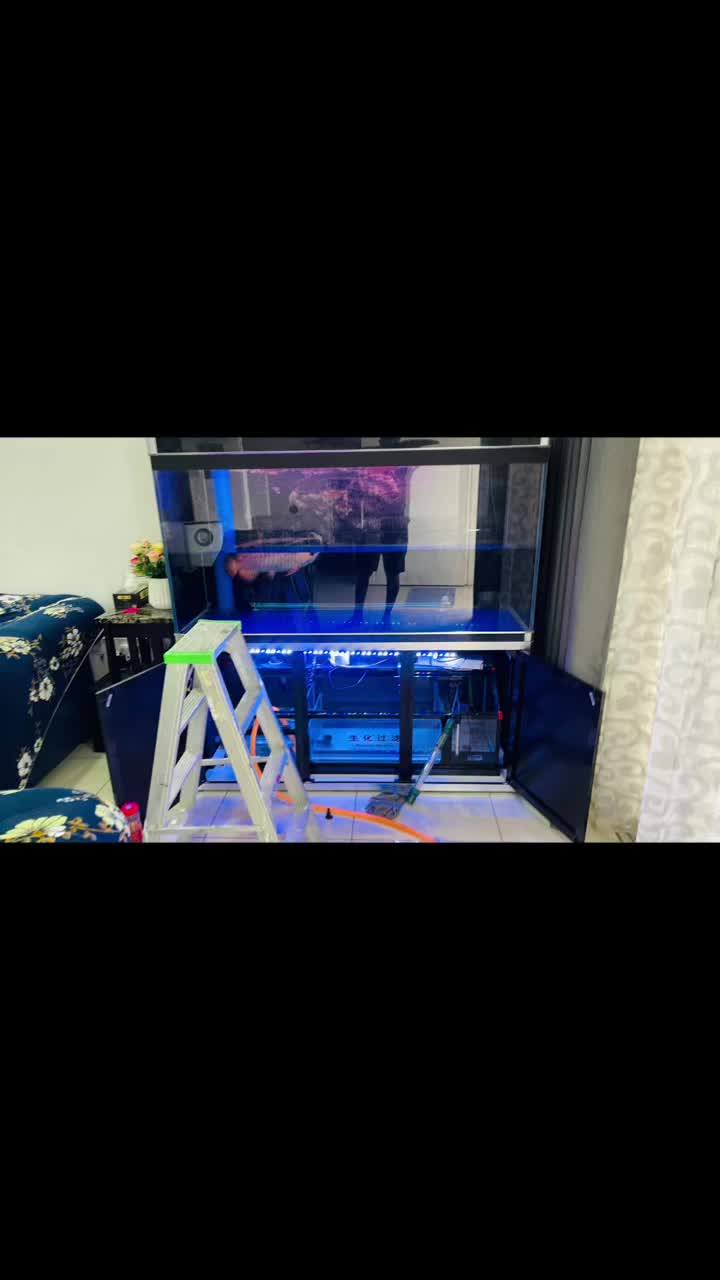 @RS AROWANA EMPIRE