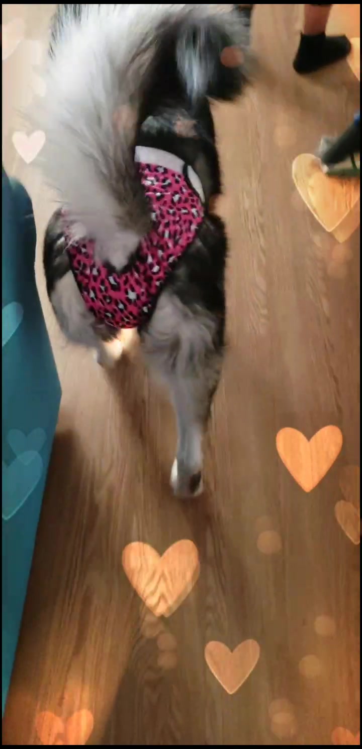 @Jessica_Craftings