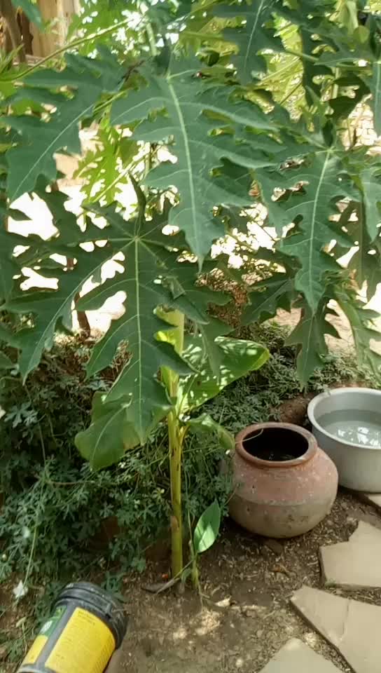 @Dheeraj Raikwar