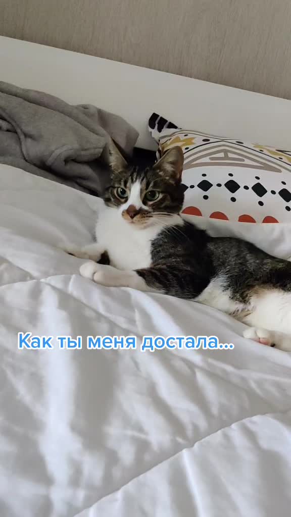 @Miki Мики