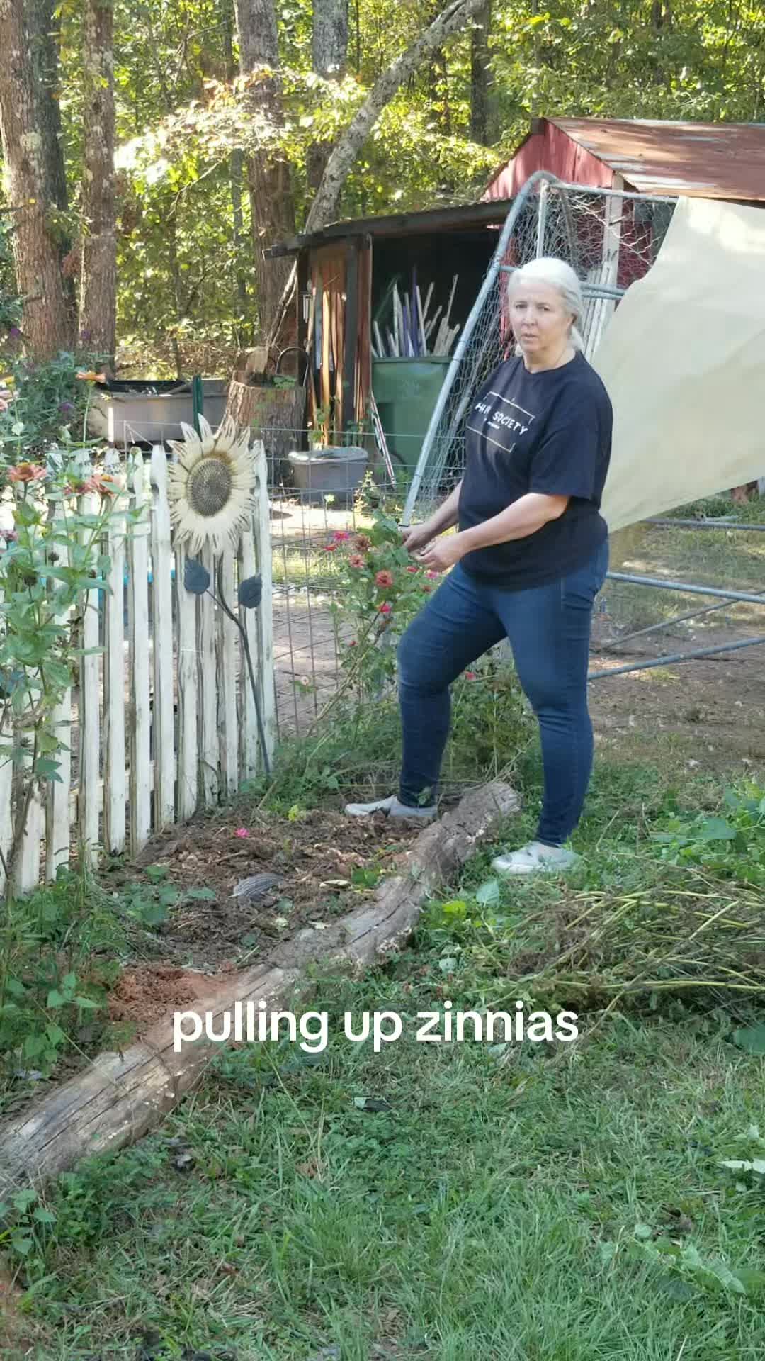 @lazyassacres