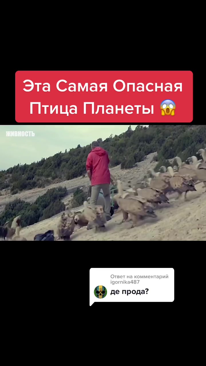 @Живность