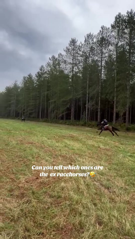 @Charlotte.Equestrian