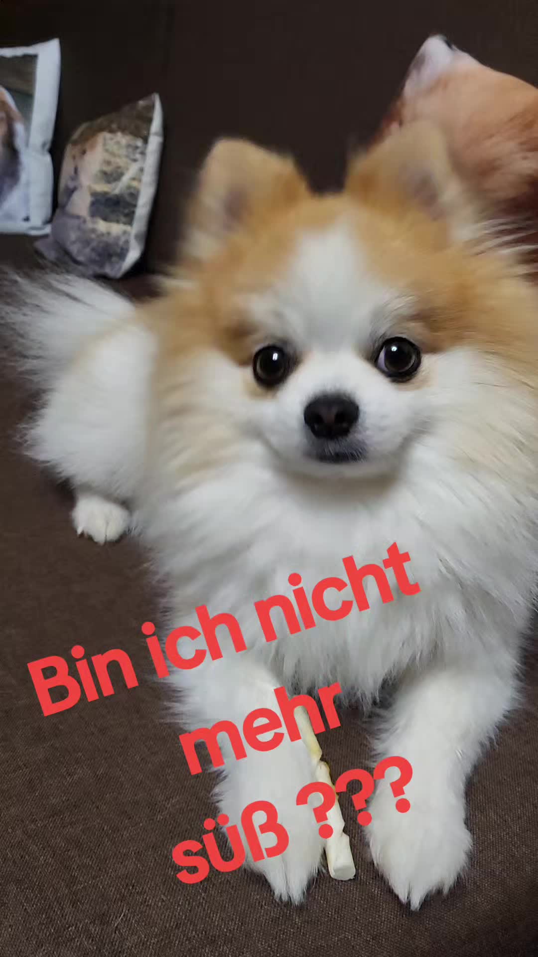 @Milow und Sammy
