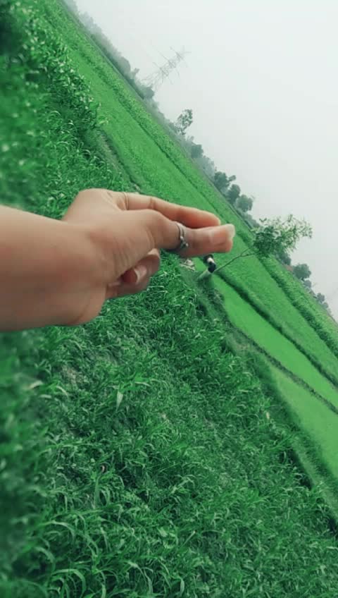 @Bhardwaj
