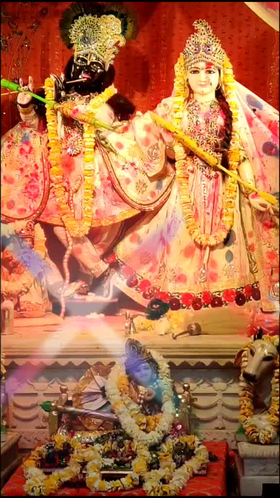 @Buddhe Sharma