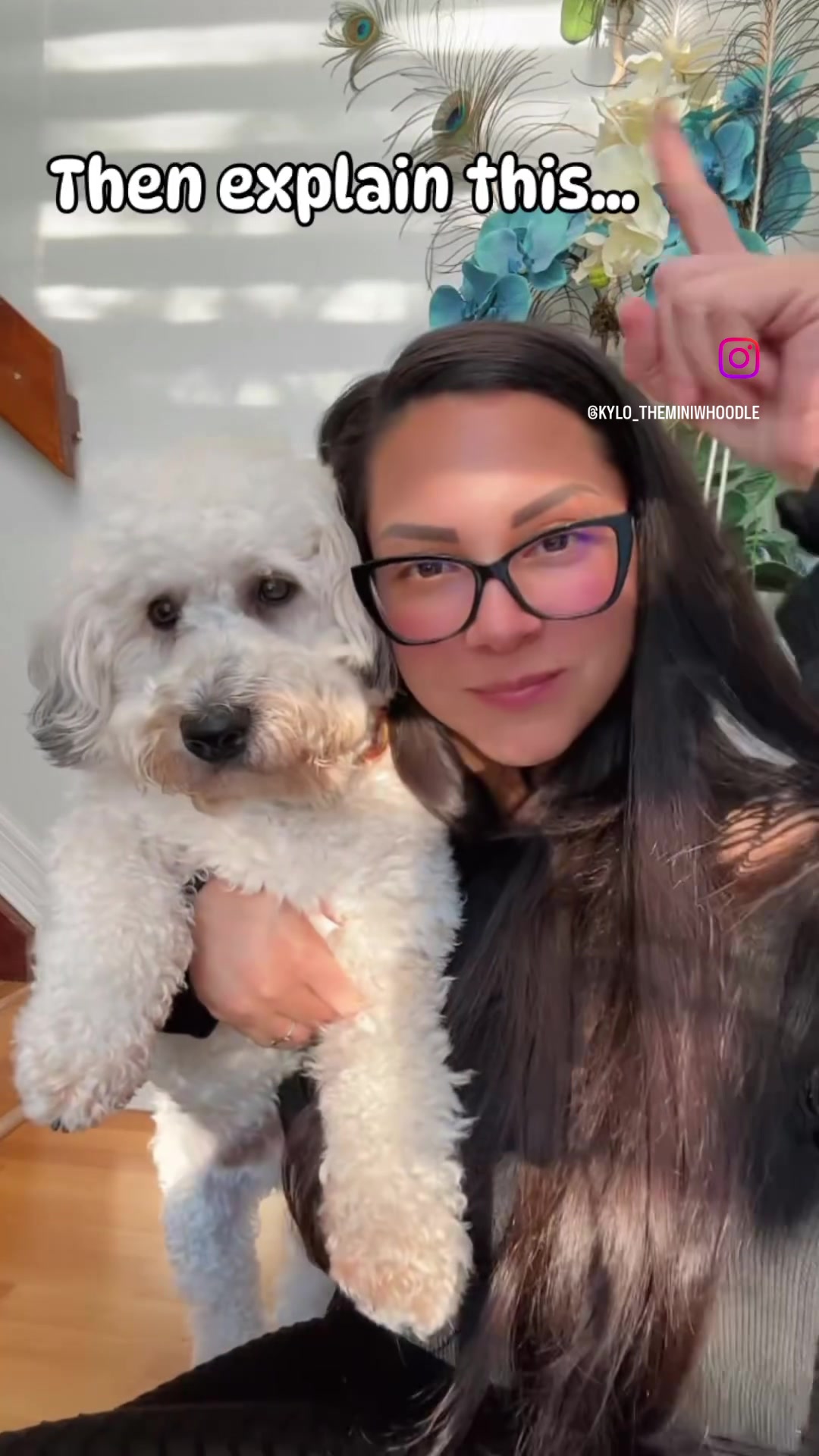 @Kylo 🐶