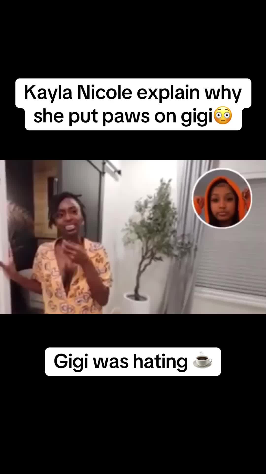 @clipsplugingTGK