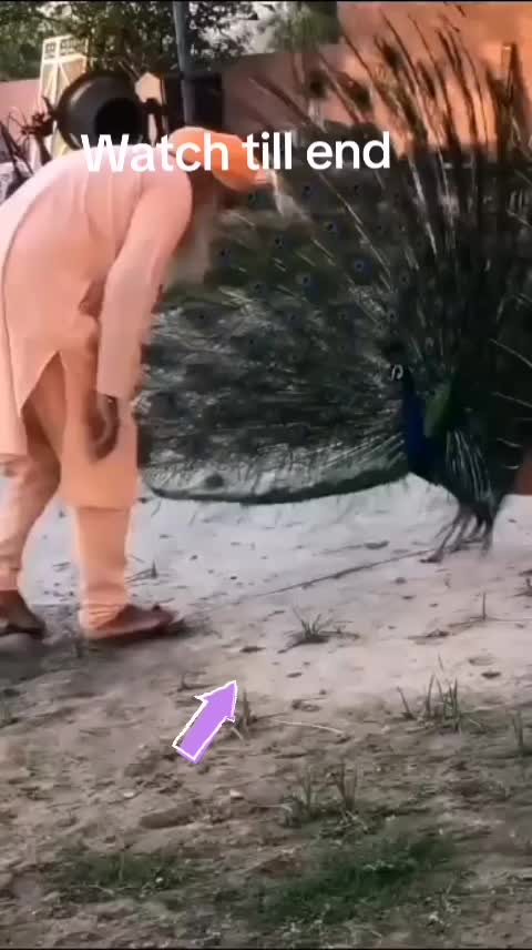 @Jeeta Kaur