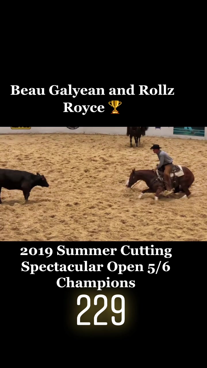 @cuttinghorsess