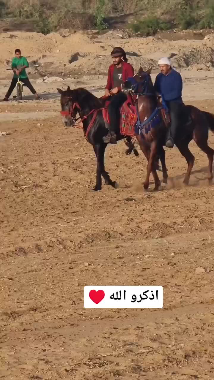 @شريف ابو مسعود