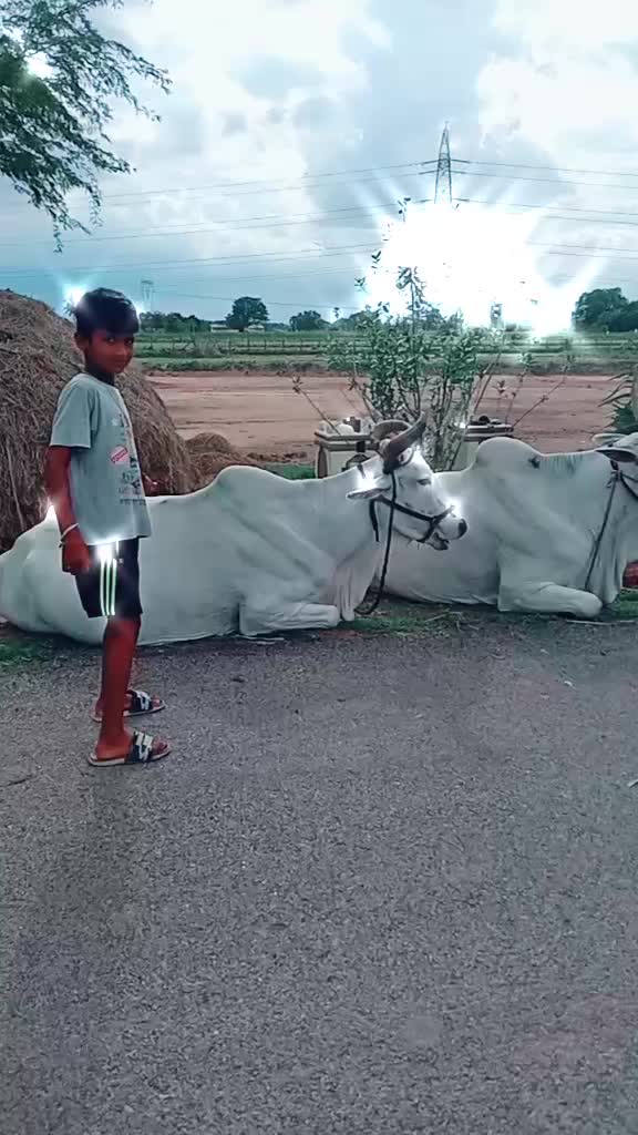 @sai charan075379