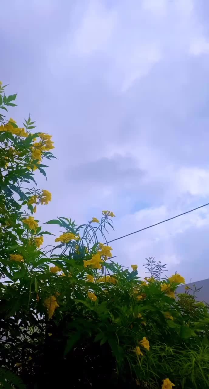 @A.k.68