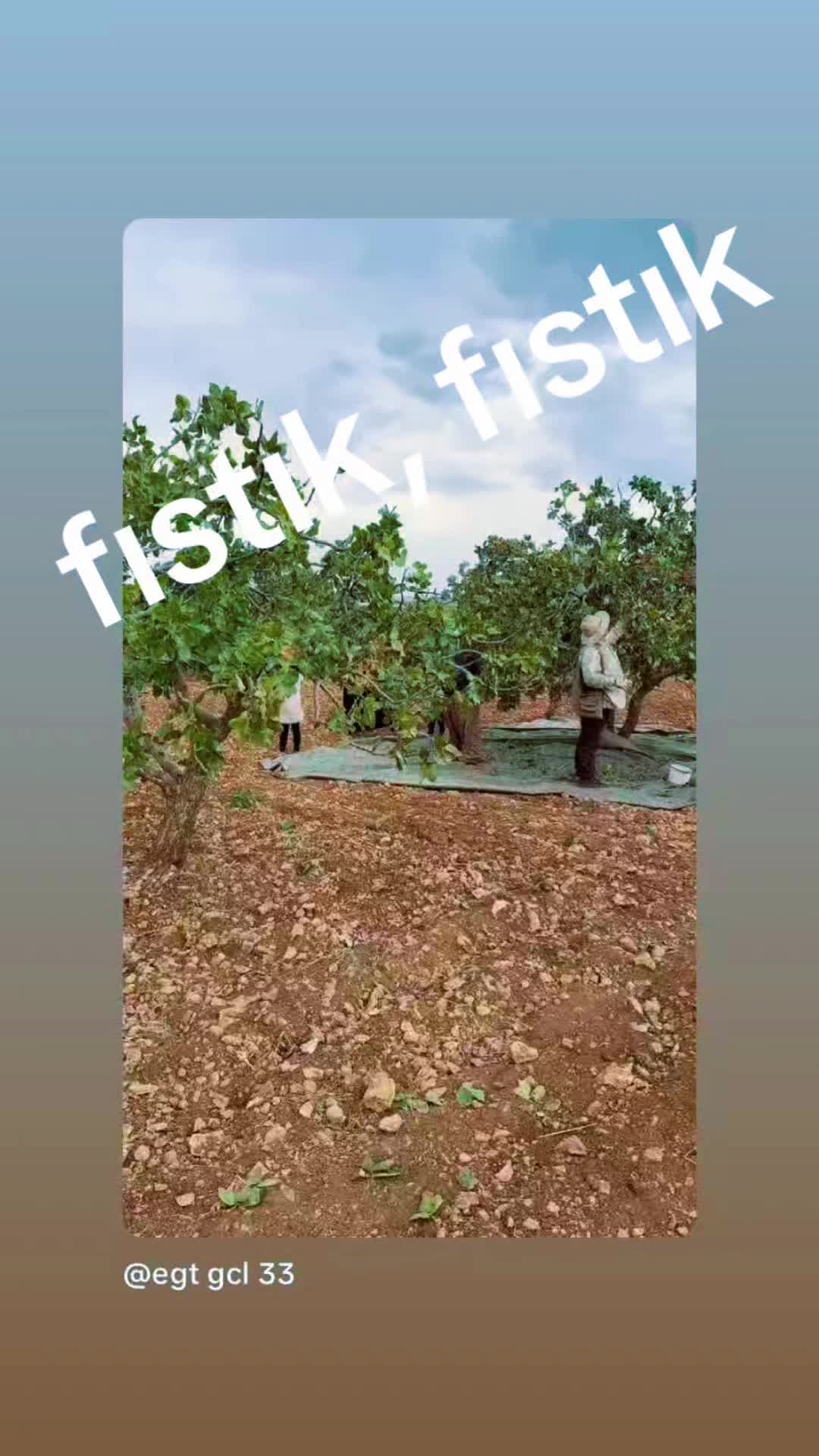 @yabanciurfali