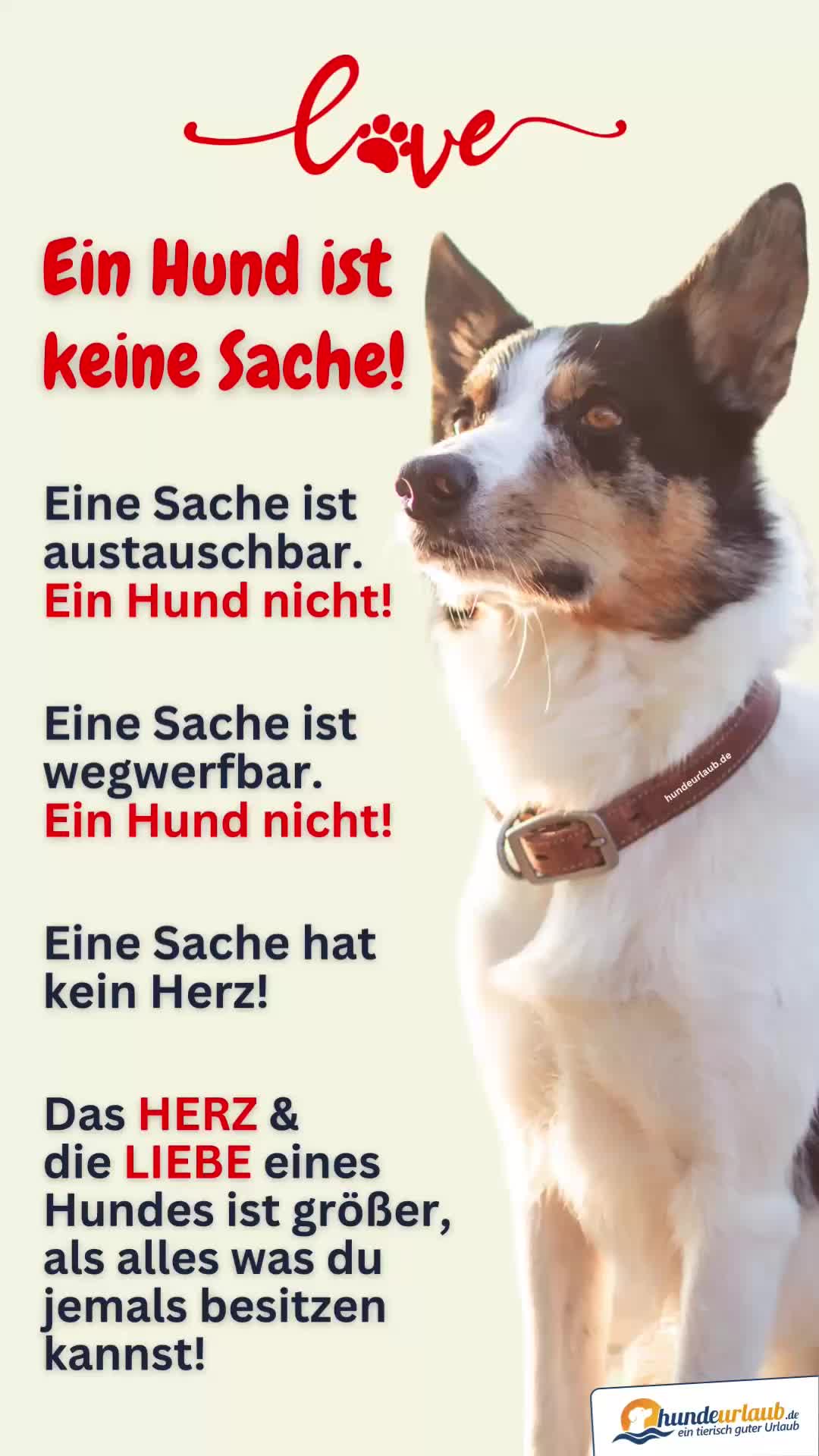@Hundeurlaub.de
