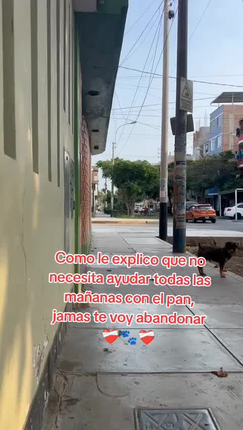 @Thor y Linda 🐾🐕❤️