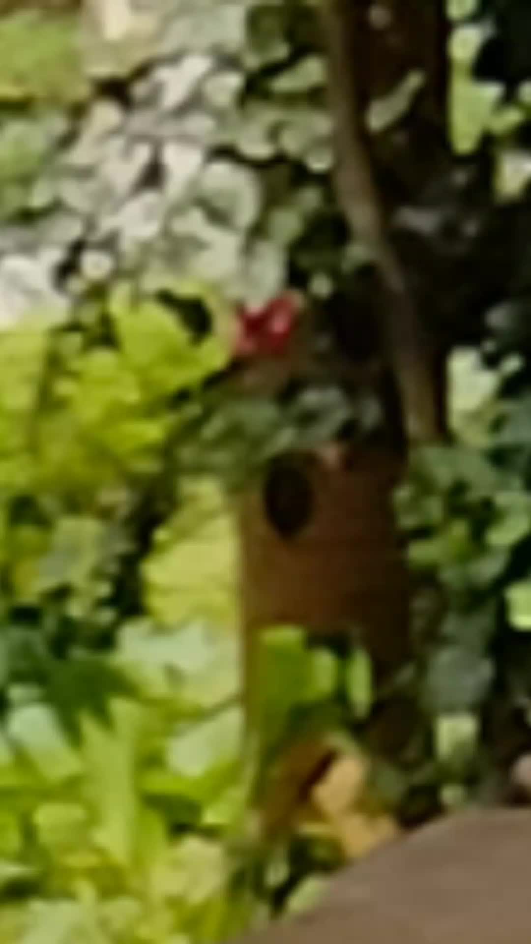 @저넉ㄱ 🤞🥀