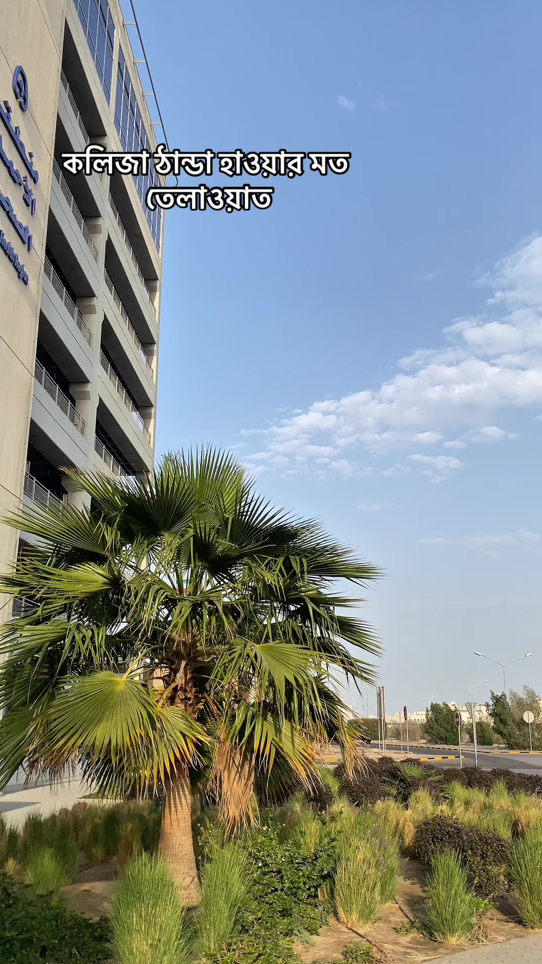 @㋡𝙰_𝚜_𝚁_𝚊_𝙵㋡         _🇰🇼