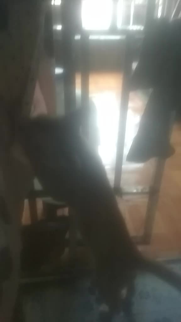 @user69363574414211