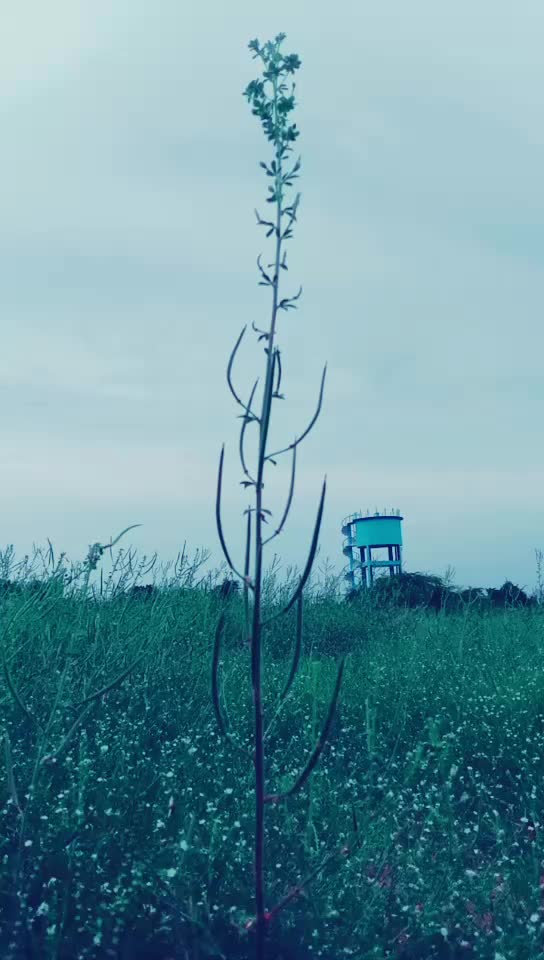@Shivaraj Uradi