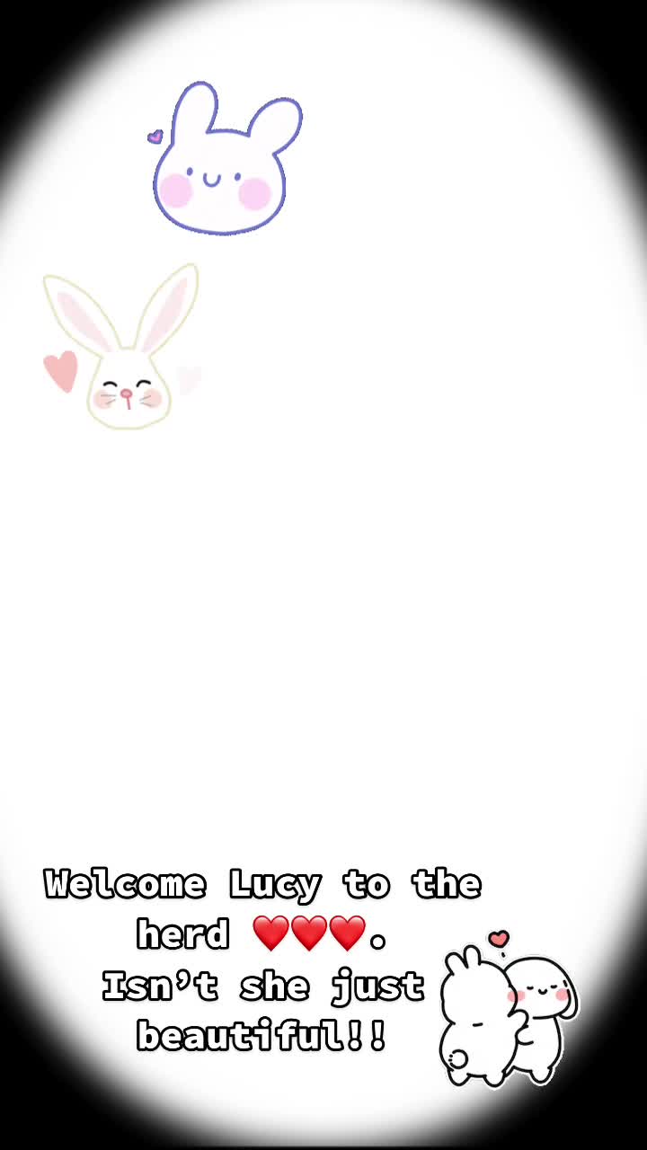 @HighlandRabbitry