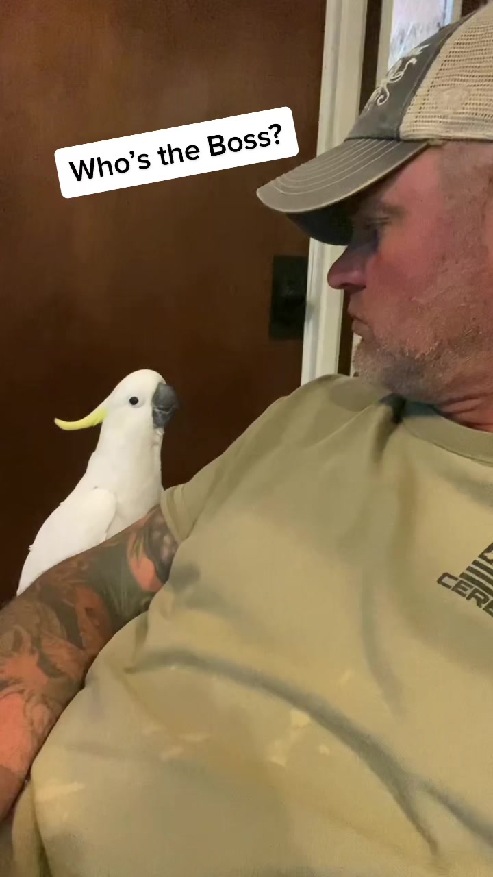 @The_Chicks_Next_Door