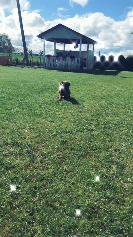 @MoccaChocoalateLab