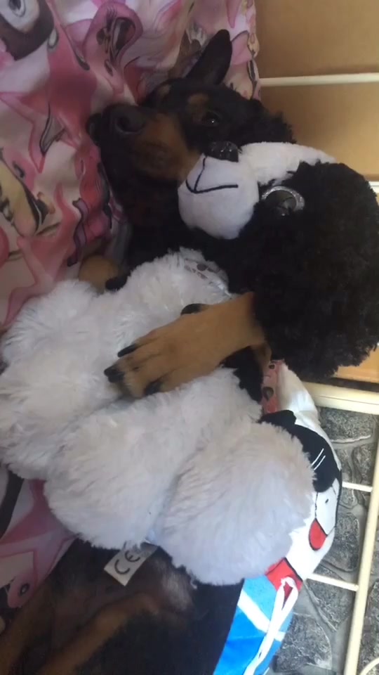 @🐶💋Ronni💋🐶