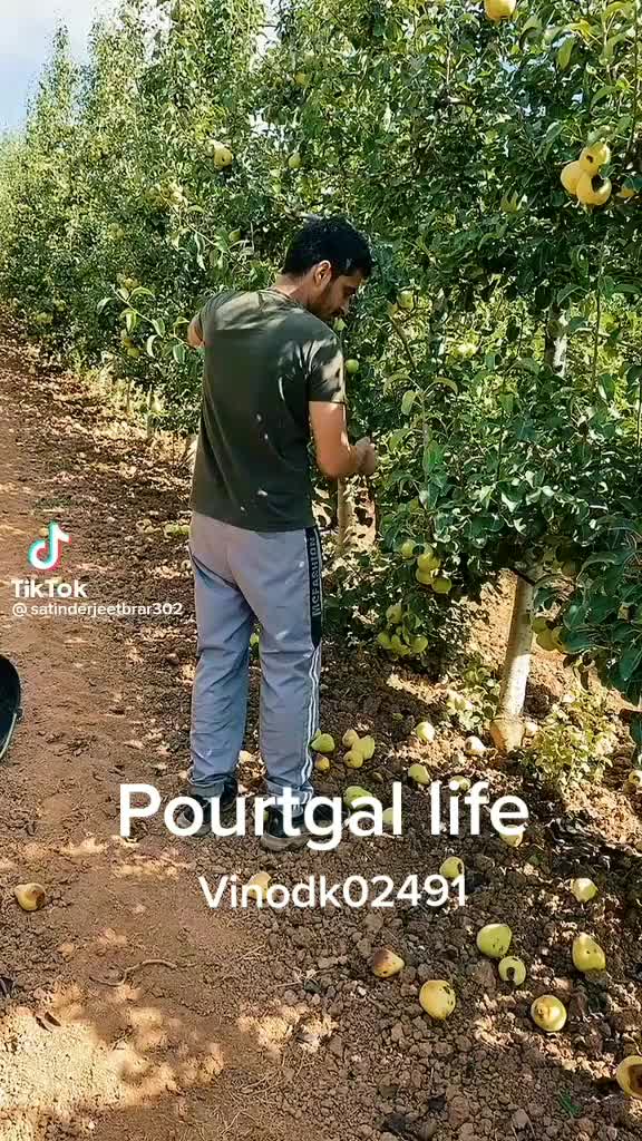 @Vinod Kashyap