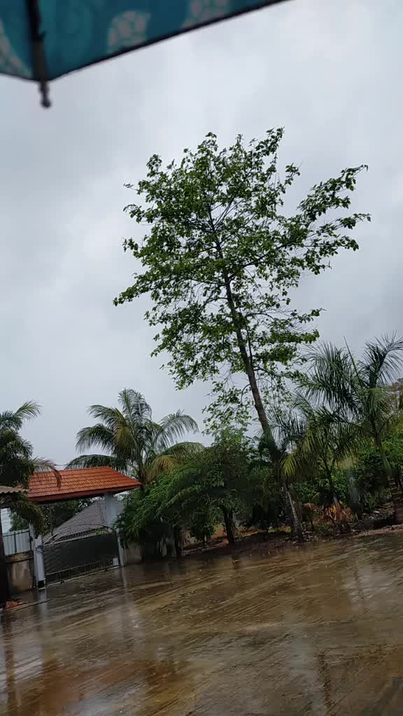 @Phoo