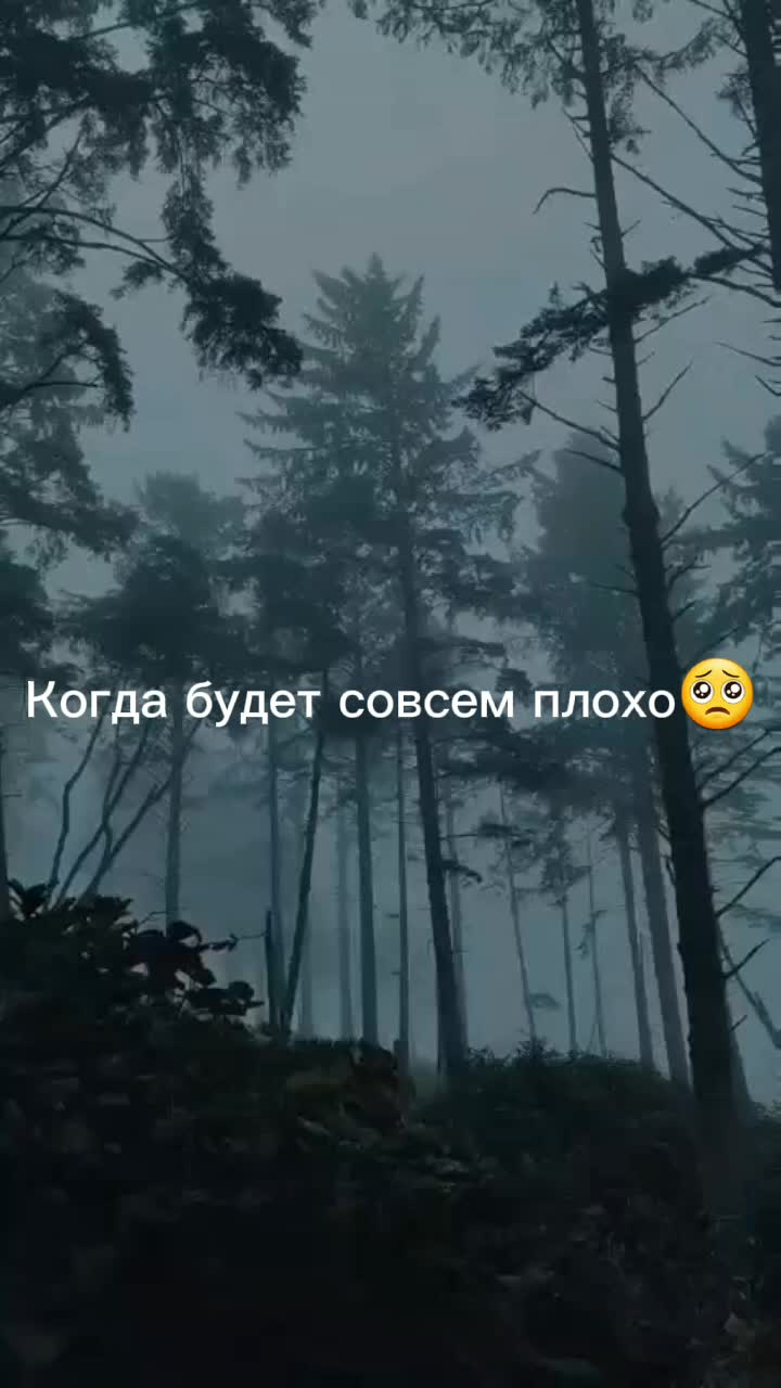 @алексей