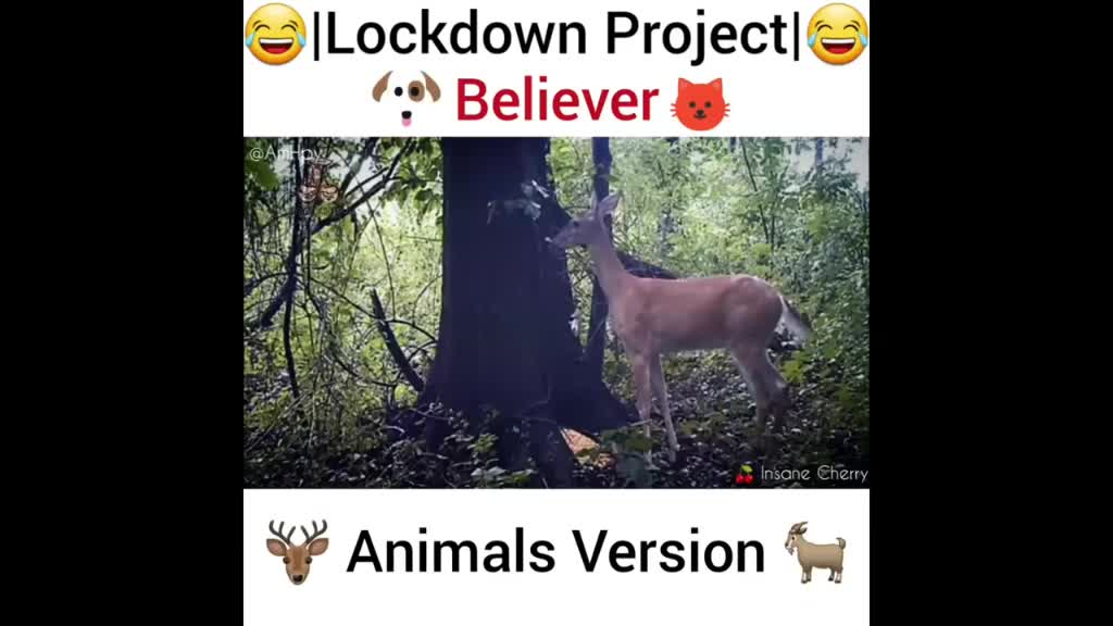 @user06883388970