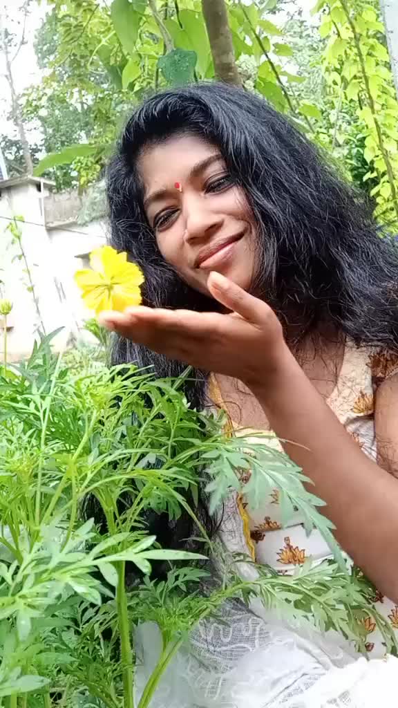 @user289244