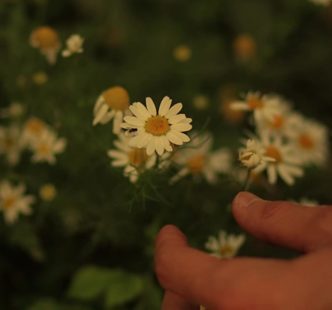@өзіме ұнайды