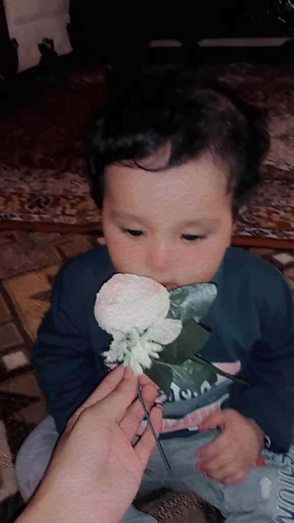 @Reeham Nadeem