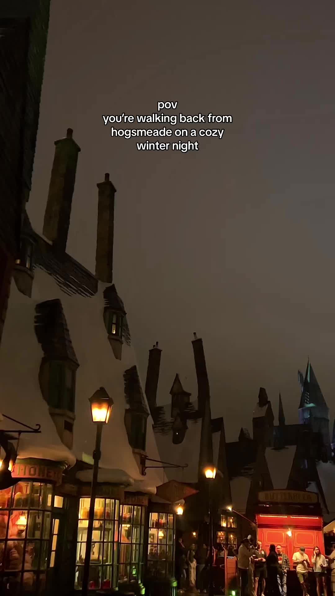 @⚯͛▕⃝⃤ POV Wizarding World