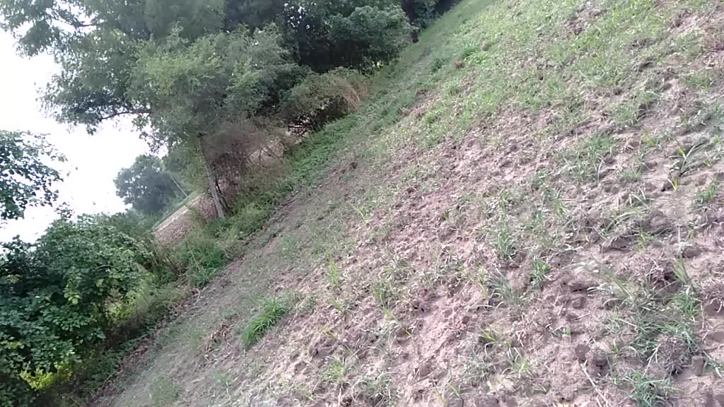 @Dhananjay Zala