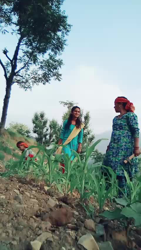 @gadankudi