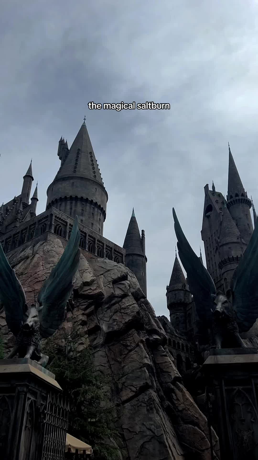 @⚯͛▕⃝⃤ POV Wizarding World