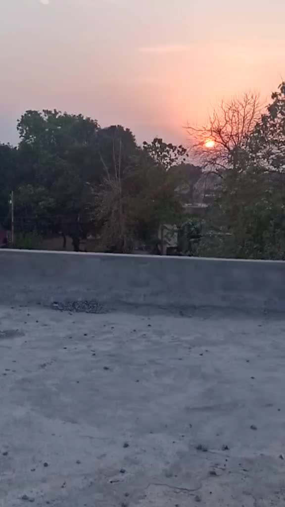 @vandanav2000
